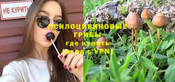 прущие крисы Белокуриха