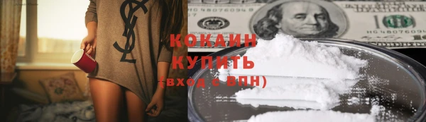 прущие крисы Белокуриха